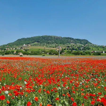 Daire Somlo Nordic *