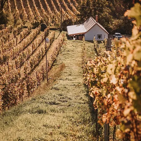 Somlo Nordic Daire Somloszolos