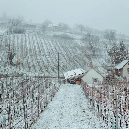 Somlo Nordic Lägenhet