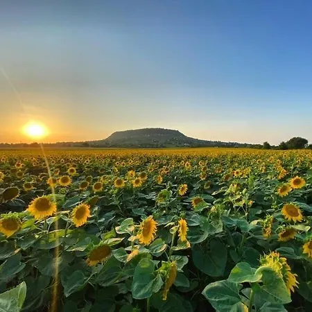 Somlo Nordic Lägenhet *