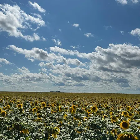 Somlo Nordic Somloszolos